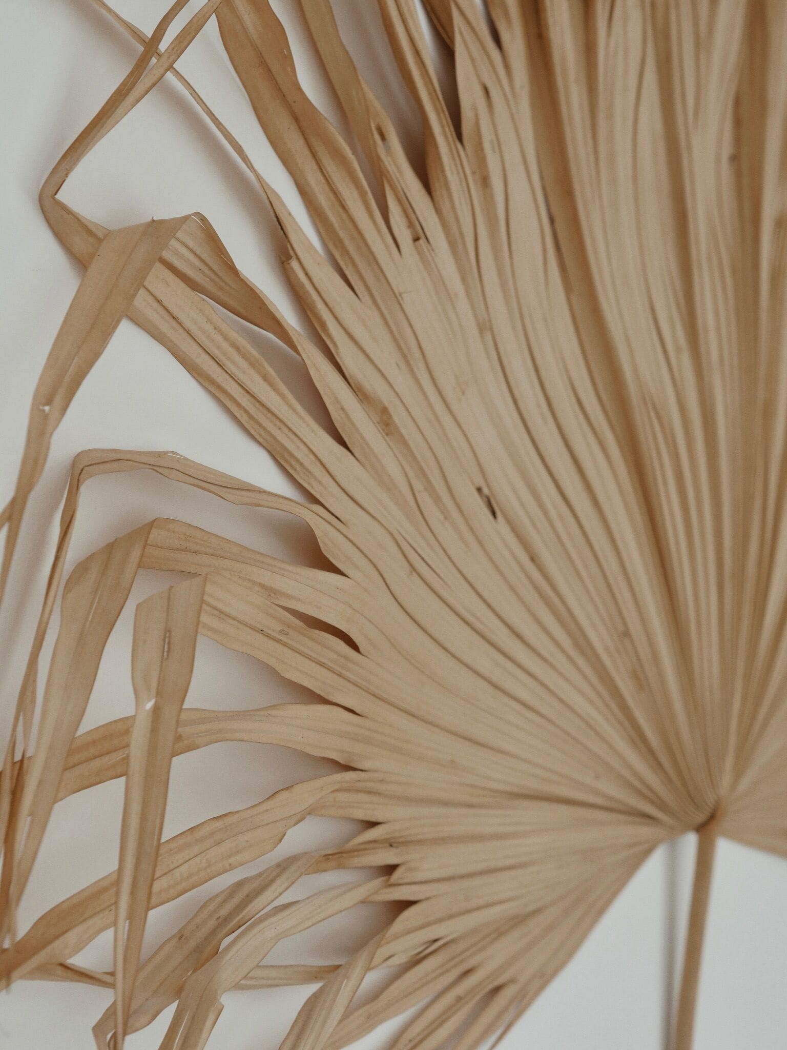 A close-up of a dried plant arrangement with long, thin leaves.