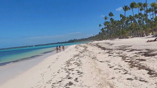 A beach with clear turquoise water, sandy shore, and palm trees.