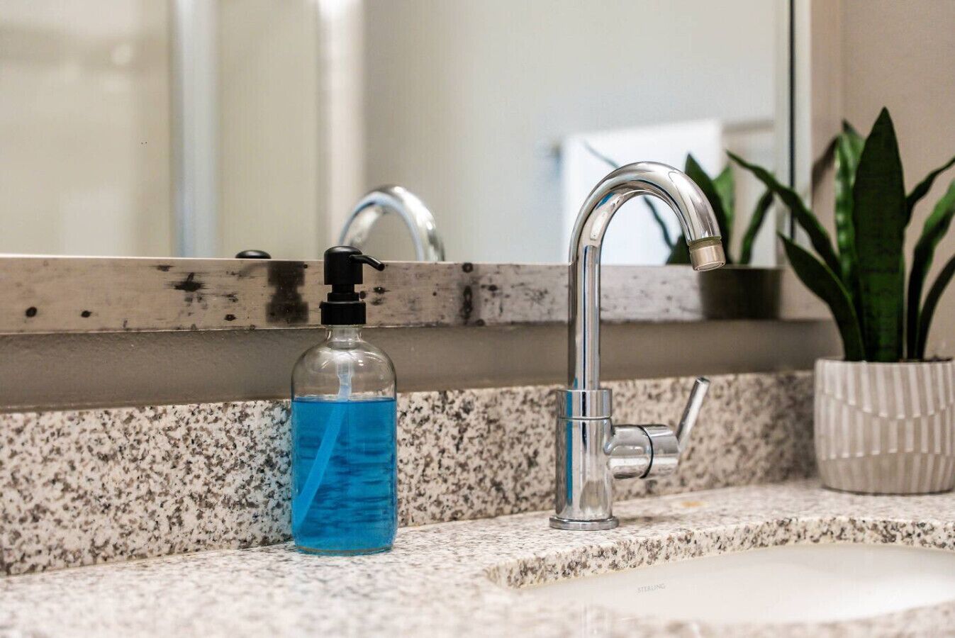 A bathroom sink with a modern faucet, a soap dispenser, and a potted plant.