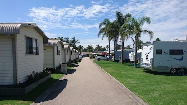 A row of mobile homes with a paved walkway in between, lined with palm trees.