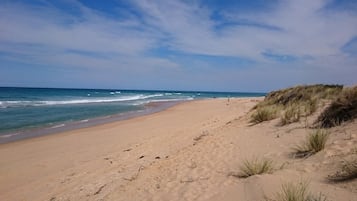 Strand