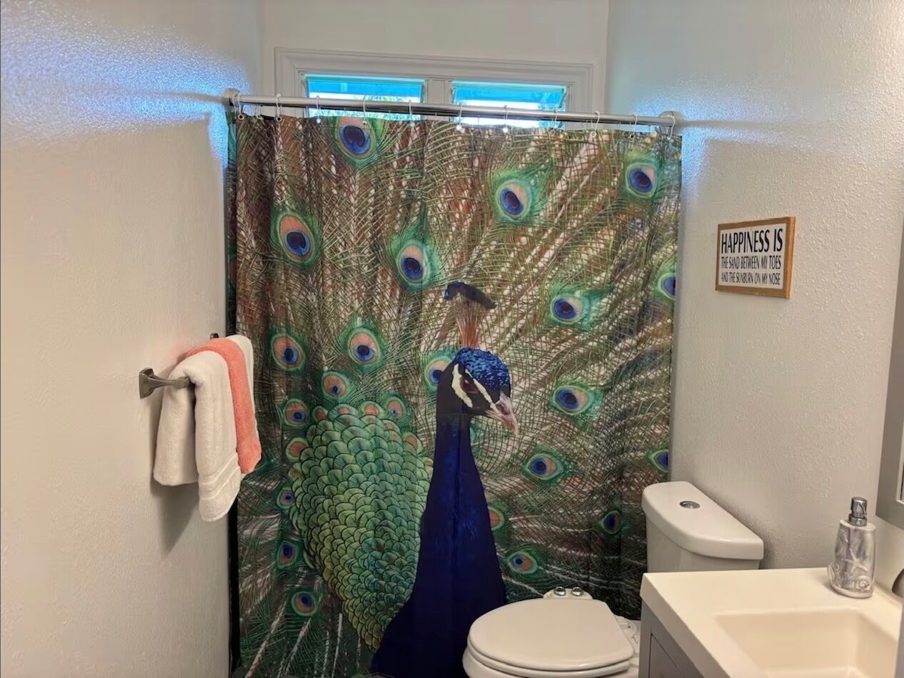 Hair dryer, bidet, towels, soap