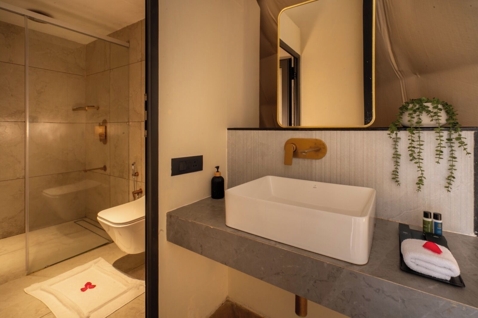 Une salle de bain moderne avec une douche à l’italienne, un lavabo blanc et un miroir.
