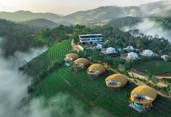 A hillside tea plantation with several thatched-roof structures and a modern building. - Monticle Glamp (Peermade)