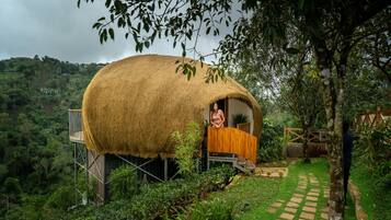 Eagle Eye Private Pool | Iron/ironing board, free WiFi