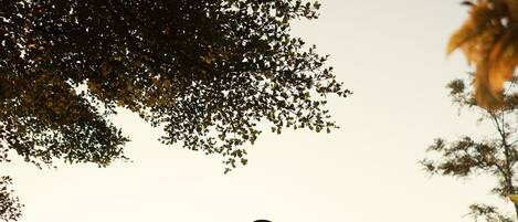 A person riding a bicycle on a pathway with greenery and a building in the background.