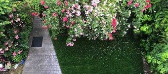 The perfect place for groups and families