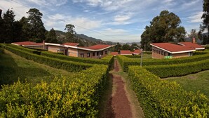 A row of brick buildings with red roofs, arranged in a linear fashion along a central path. - Cabañas Entrada a la Sierra (Zacapoaxtla)