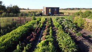 A small, modern mobile home with a flat roof and large windows, surrounded by a well-maintained vegetable garden with rows of leafy greens and other plants.