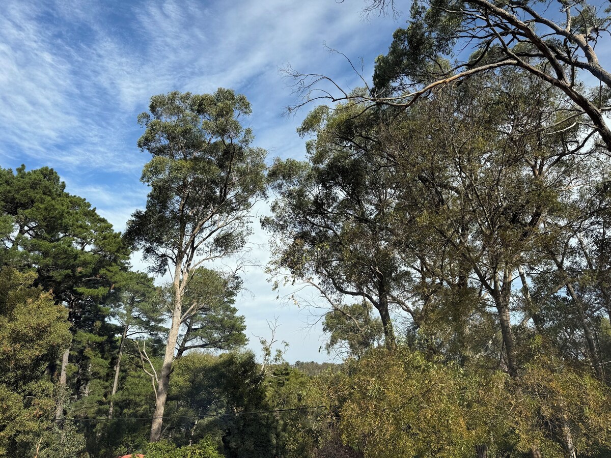 オーナーのプロフィール画像