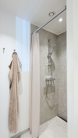 Shower, hair dryer
