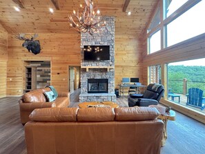 TV, fireplace, books, computer monitors