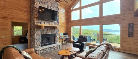 TV, fireplace, books, computer monitors