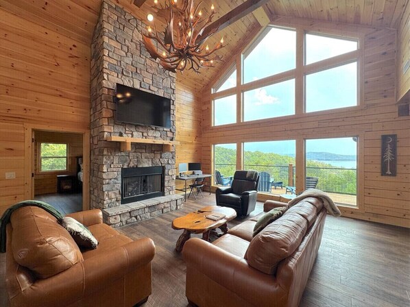 TV, fireplace, books, computer monitors