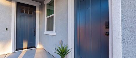 A house entrance with two blue doors, a white potted plant, and a small window.