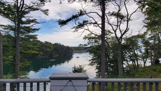 A view of a lake surrounded by trees, with a wooden dock extending into the water.