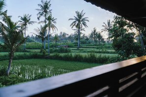 Classic Villa, Balcony, Valley View | Garden view