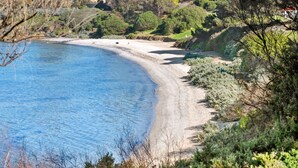 Un paisaje costero con una playa arenosa, vegetación densa y un mar azul cristalino.