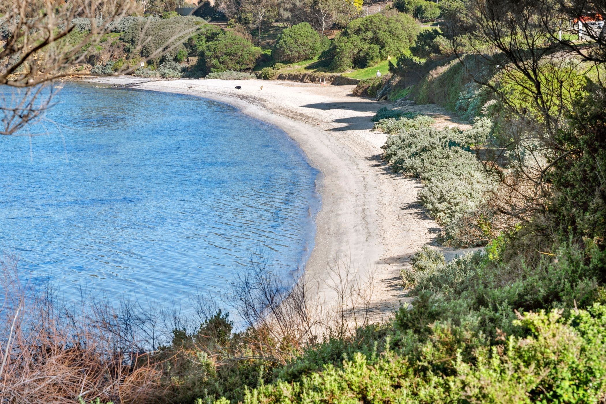 A coastal landscape with a curved beach, dense vegetation, and a clear blue sky.