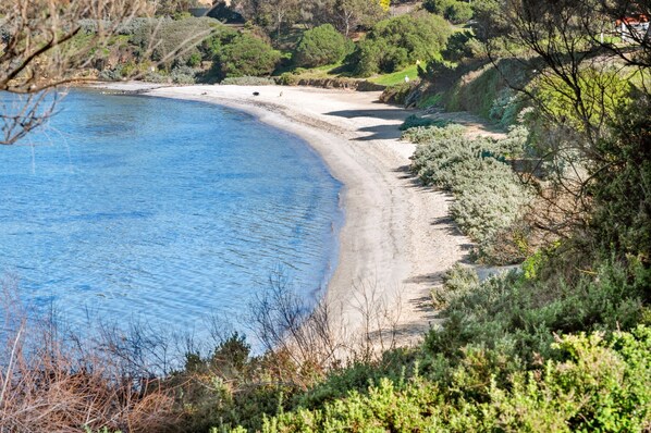Un paysage côtier avec une plage en forme de courbe, une végétation luxuriante et un ciel bleu dégagé.