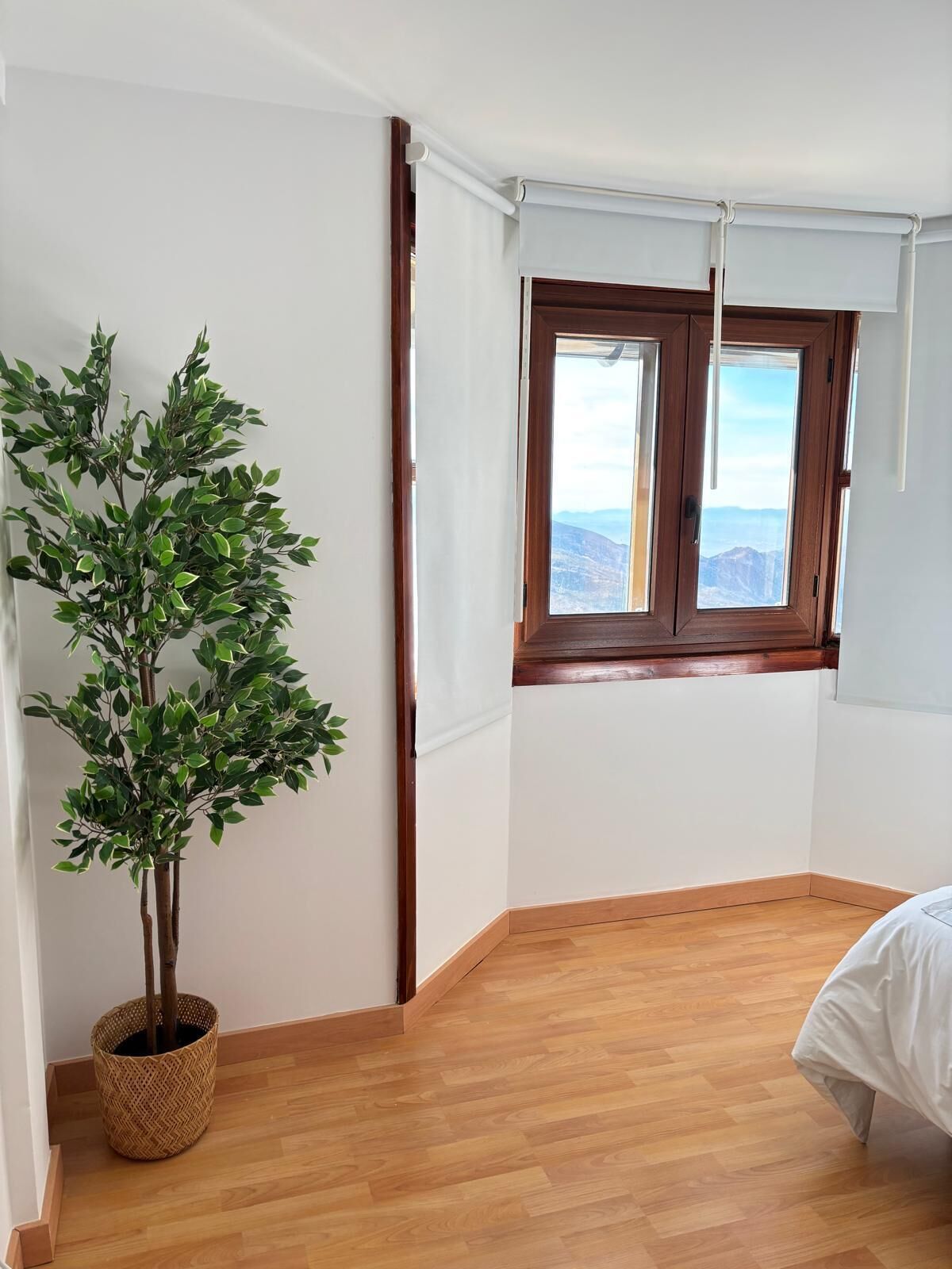 Ein Zimmer mit Holzboden, einem Fenster mit Bergblick und einer Topfpflanze.