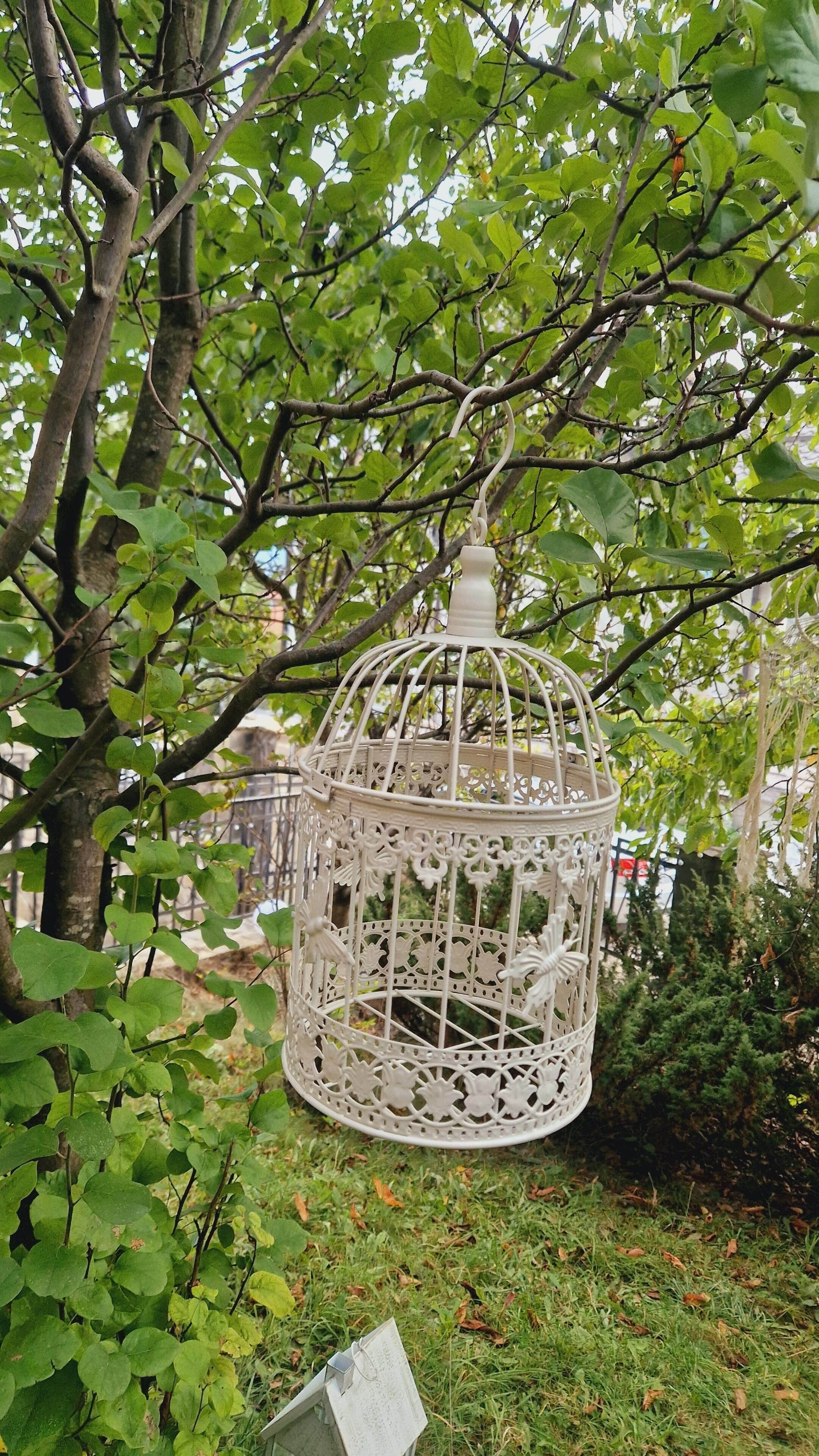 A white birdcage hanging from a tree branch in a garden.