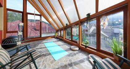 Mont'Arte - Villa with Panoramic View in Busteni