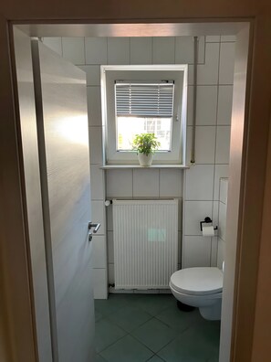 Shower, hair dryer
