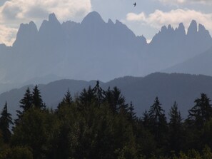 Miscellaneous - Cozy first floor apartment with garden, direct access to the playground (Trentino-Alto Adige)