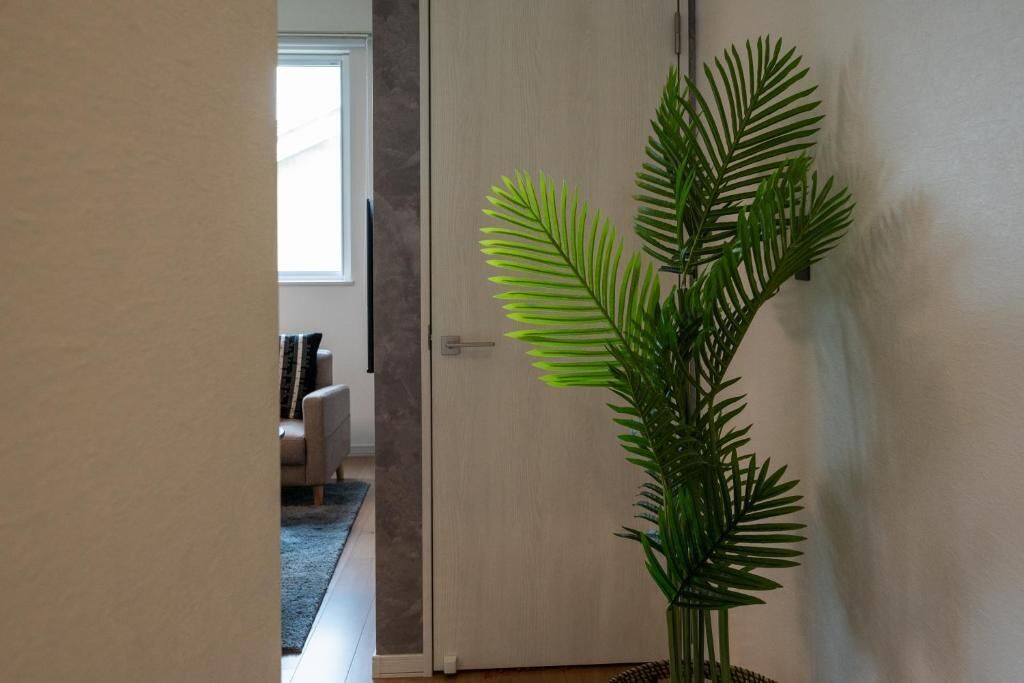 A hallway with a door, a plant, and a glimpse of a living room with a sofa and a window.