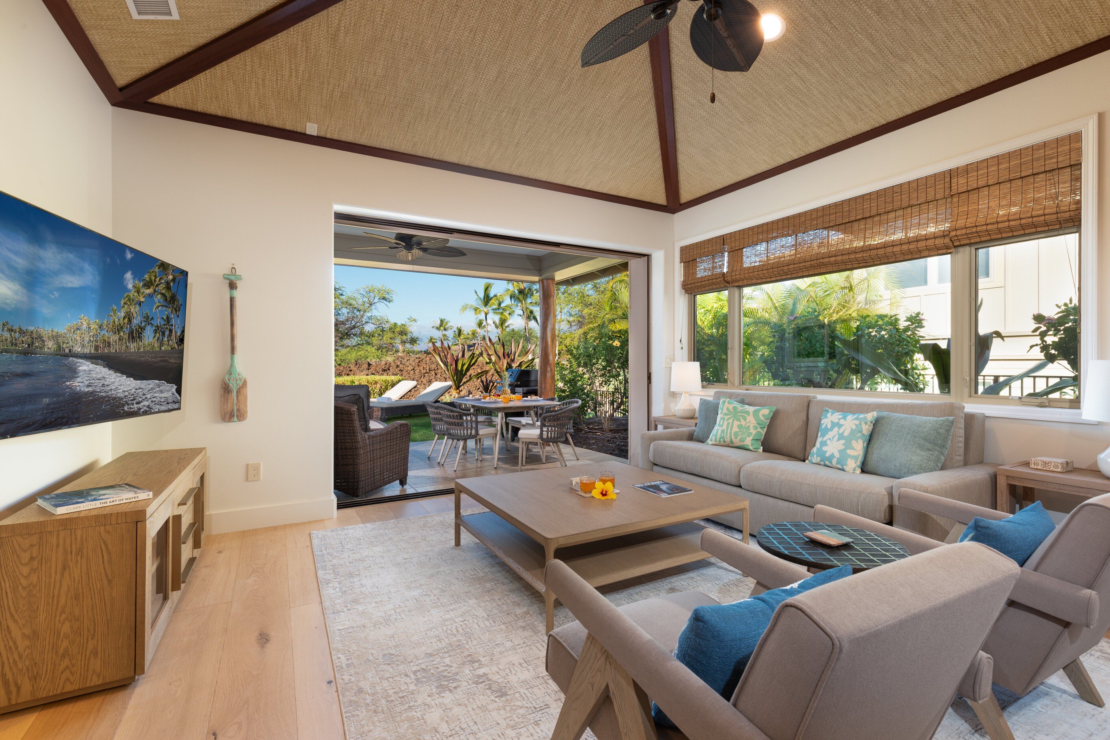 TV, table tennis, books, music library