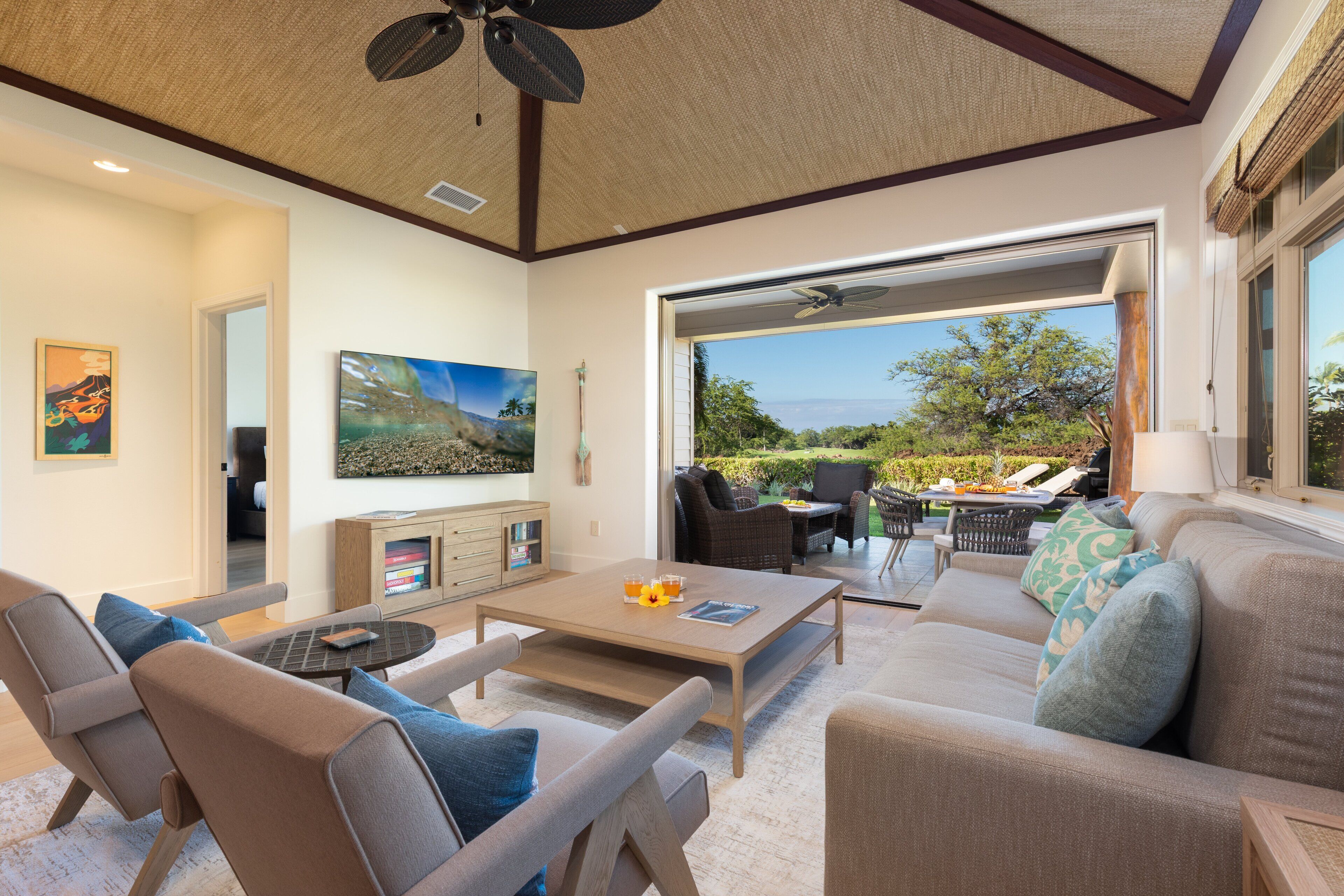 TV, table tennis, books, music library