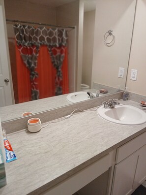 Shower, towels, toilet paper