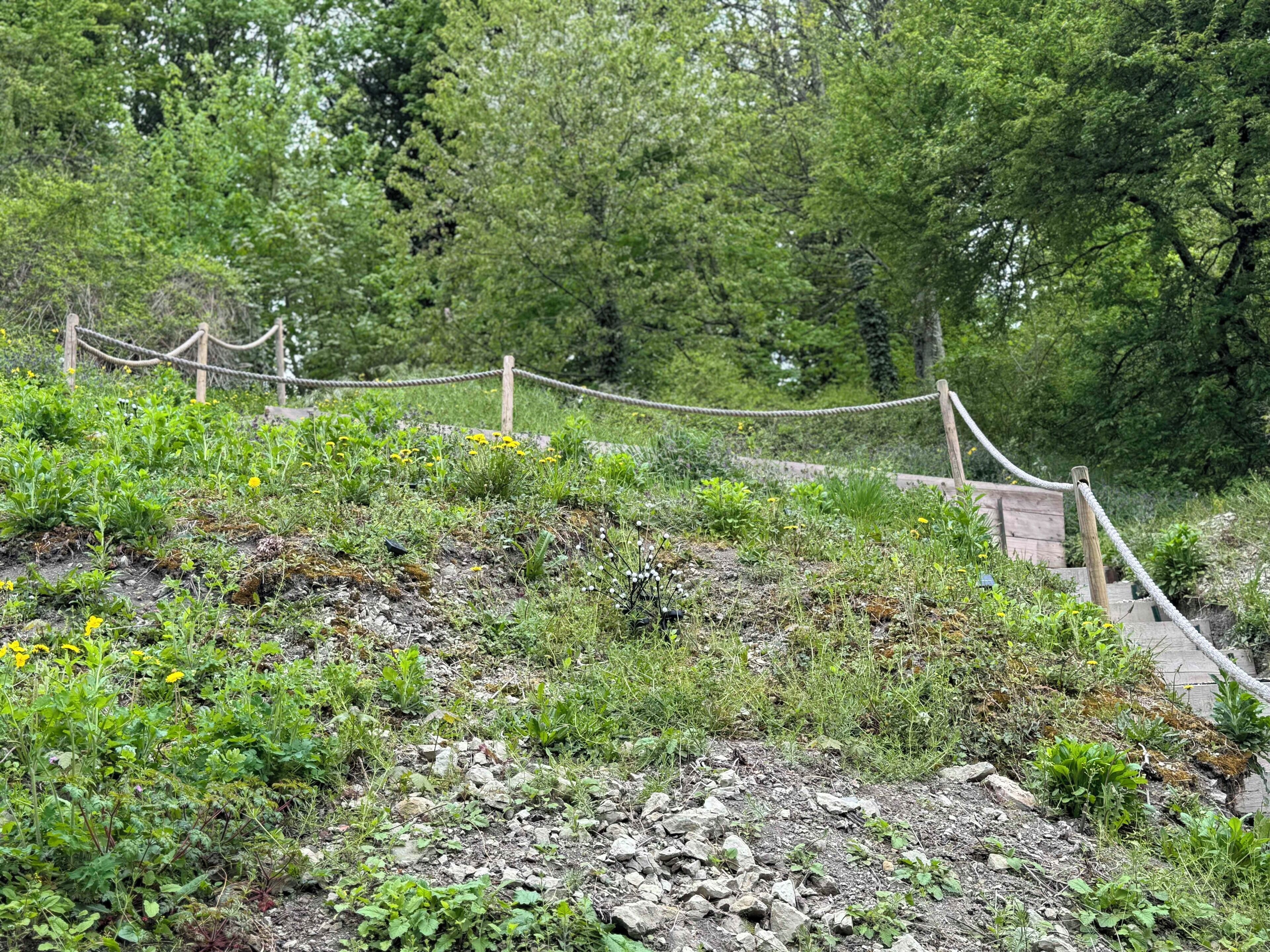 Jardines del alojamiento