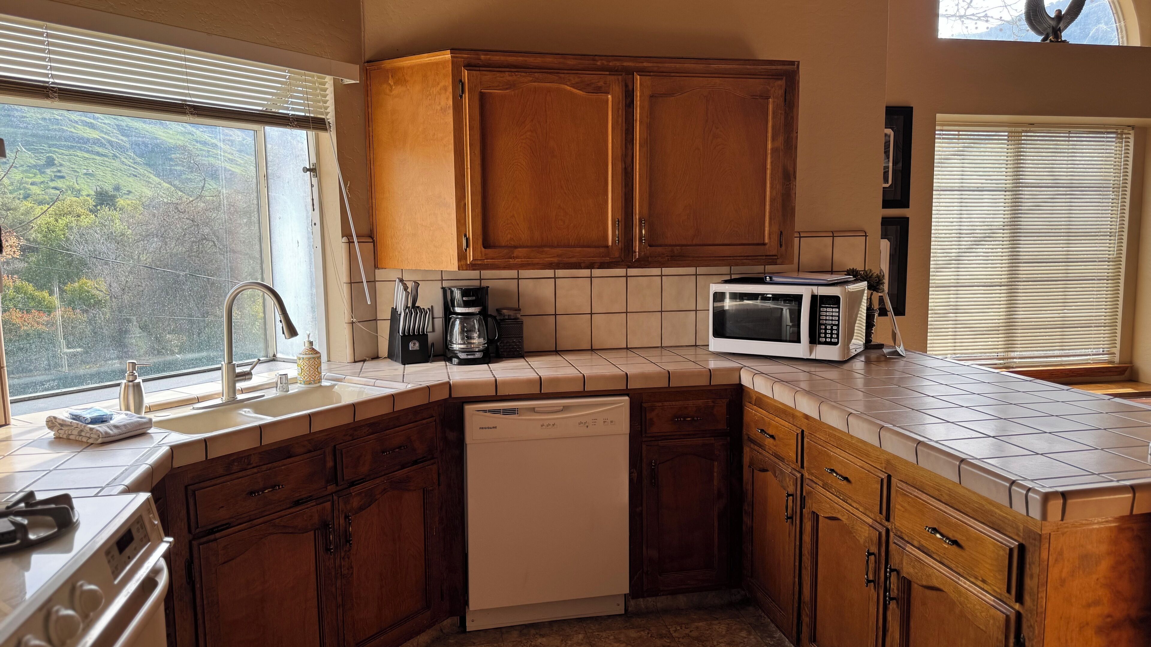 Microwave, oven, stovetop, dishwasher