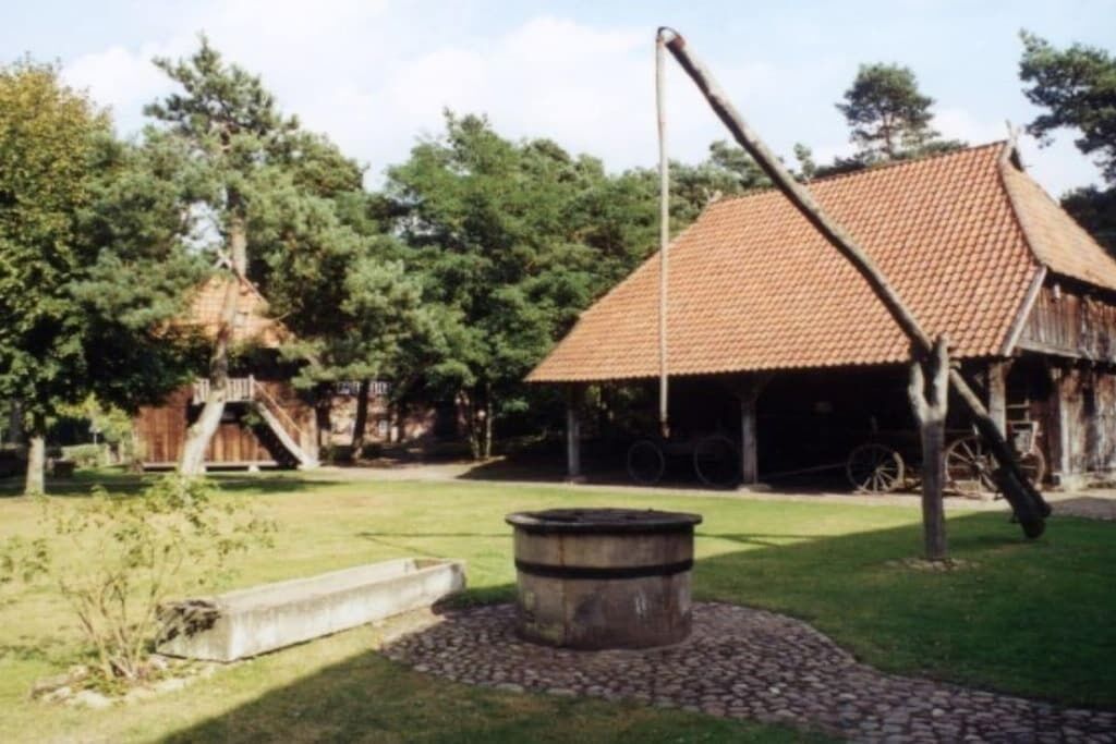 Àrea exterior de l'allotjament