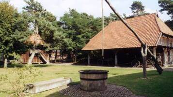 Àrea exterior de l'allotjament