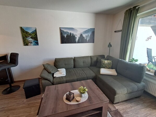 TV, video games, DVD player, stereo - Thirtythix - Modern furnished vacation apartment with lake view and balcony in (Winterberg)