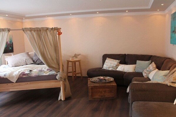 Smart TV, fireplace, books, stereo