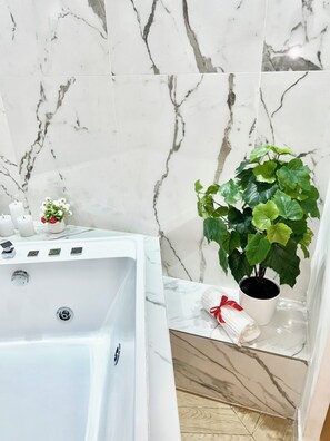 Shower, towels, soap, toilet paper