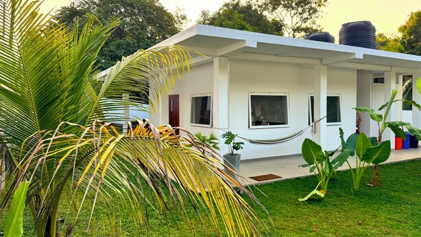 A modern white building with large windows and a flat roof, surrounded by lush greenery and a hammock.