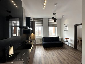 Private kitchen - Nysa River Apartments (Zgorzelec)