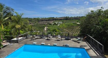 Baie des Mangues - Baba Figue