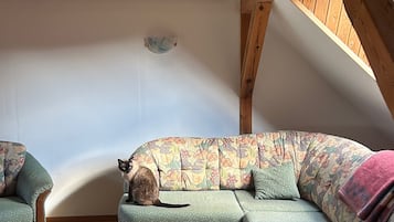 Télévision, cheminée, chaßne hi-fi