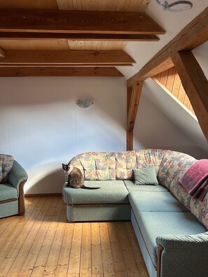 Kamin, Stereoanlage