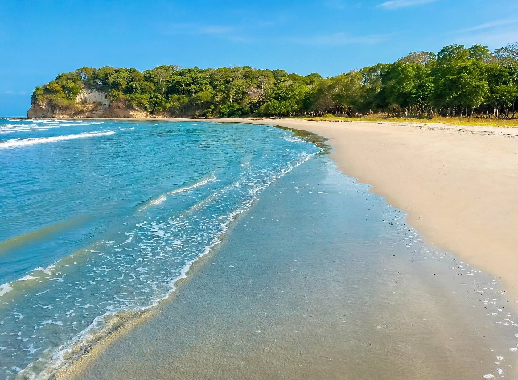 Une plage avec une eau d’un bleu limpide, un rivage sablonneux et un feuillage verdoyant et dense en arrière-plan.