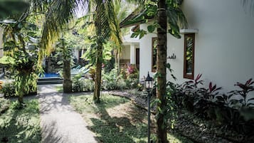 Puutarha