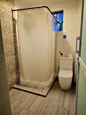 A bathroom with a shower, toilet, and a small window.