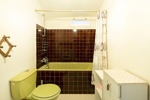 Shower, hair dryer