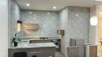 Economy-huoneisto, parveke, kaupunkinäköala | Yksityinen keittonurkkaus | Jääkaappi, mikroaaltouuni, uuni, liesi